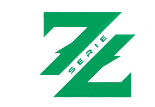 GIOCATORI SERIE Z 2